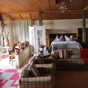 https://loft-sao-joaquim.santa-catarina-brasil.com
